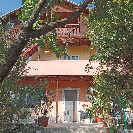 Vila Mara Sărata-Monteoru Exterior photo