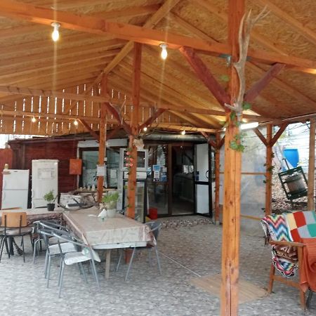 Vila Mara Sărata-Monteoru Exterior photo