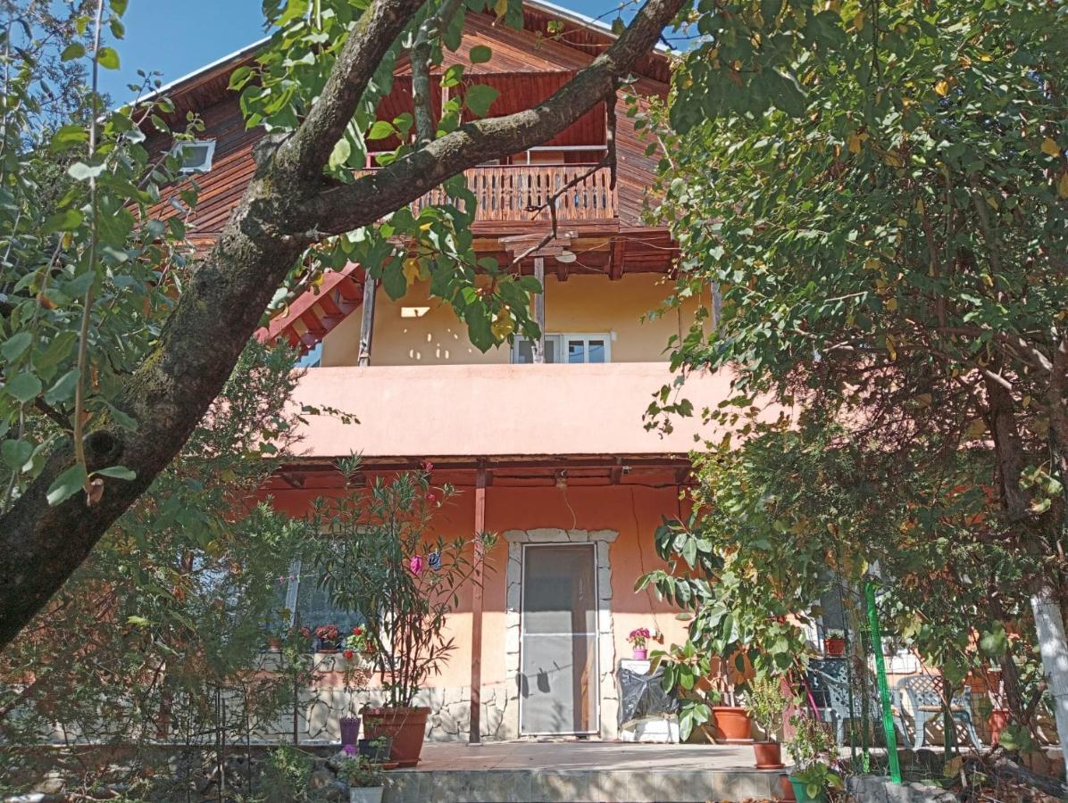 Vila Mara Sărata-Monteoru Exterior photo